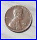 1981_Lincoln_Cent_With_A_Slash_Above_the_Date_No_Mint_Mark_A_Rare_Coin_01_rwu