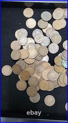 Large Lot Of Indian Head Cent / Penny 904g Approximately 290 Pieces US COIN LOT