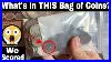 What_S_In_This_Bag_Of_Old_Coins_Large_Cents_Buffalo_Nickels_More_01_az